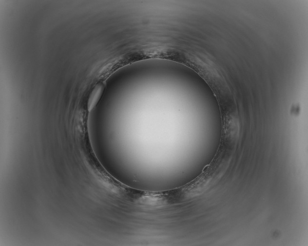 X0000097490280200802221422