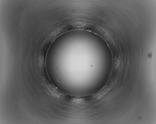 X0000097490283200802221422