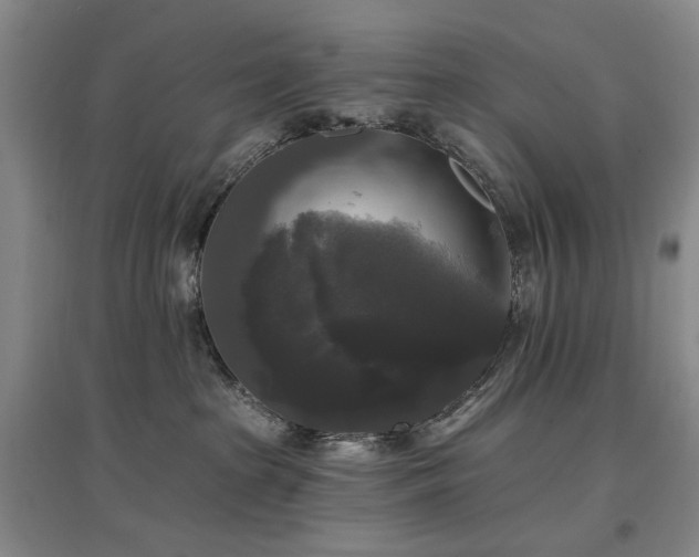 X0000097490285200802221422