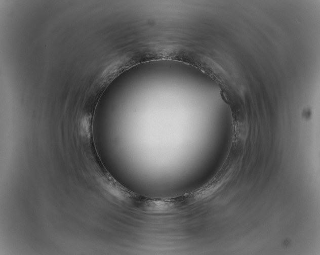 X0000097490286200802221422