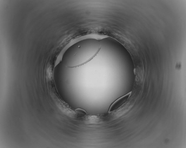 X0000097490287200802221422