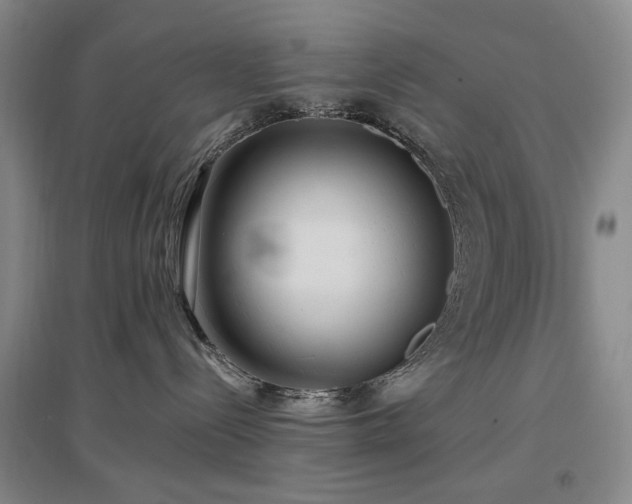 X0000097490288200802221422