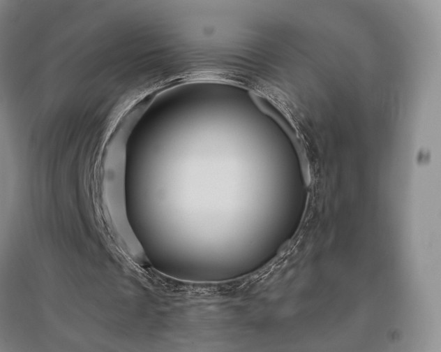 X0000097490289200802221421