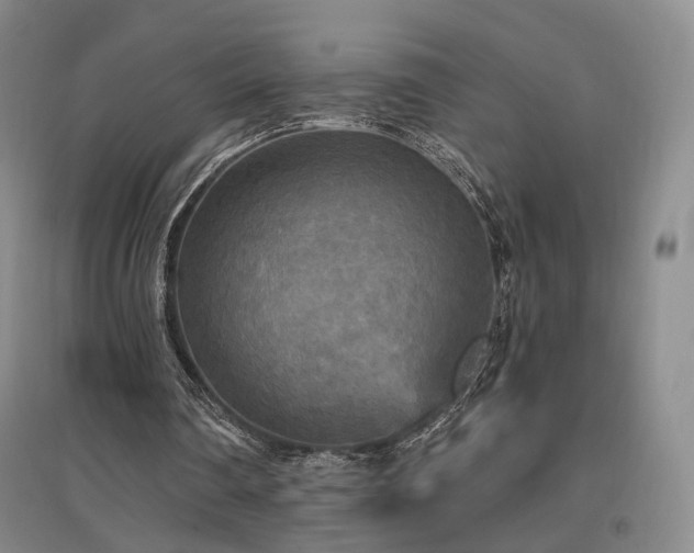 X0000097490290200802221421