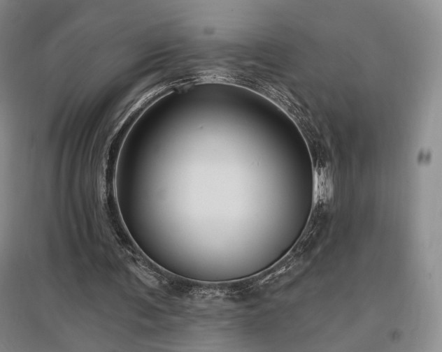 X0000097490291200802221421