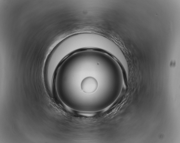 X0000097490292200802221421