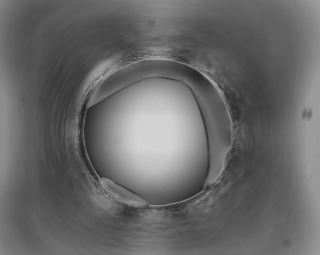 X0000097490293200802221421