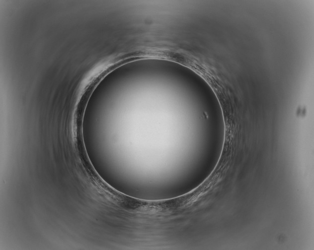 X0000097490294200802221421