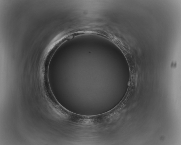 X0000097490295200802221421