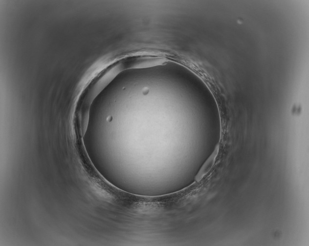 X0000097490296200802221421