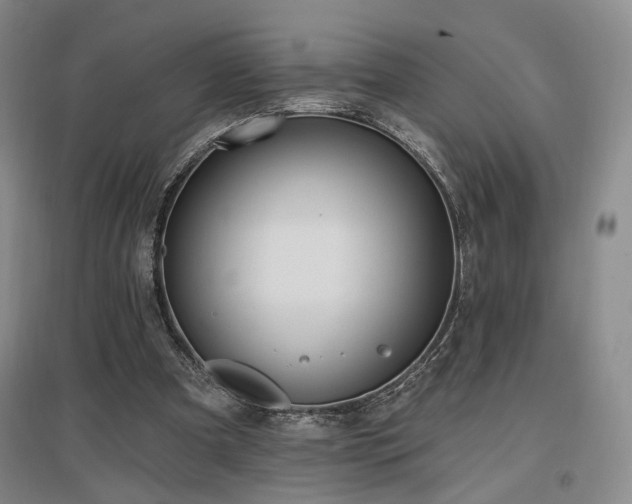 X0000097490297200802221421