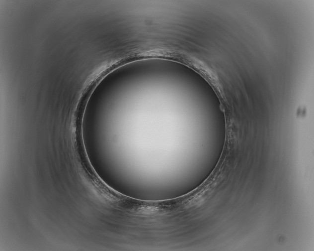 X0000097490298200802221421