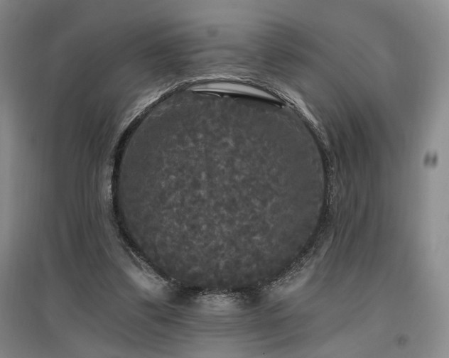 X0000097490299200802221421