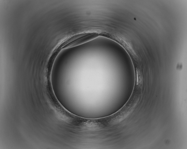 X0000097490300200802221421