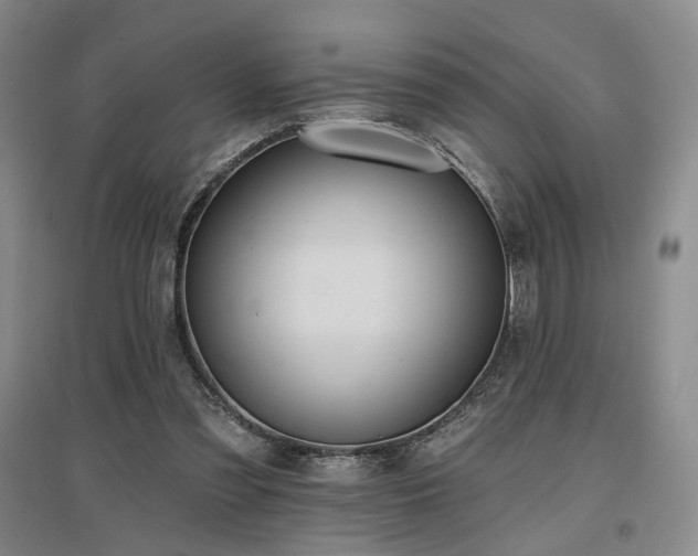 X0000097490301200802221421