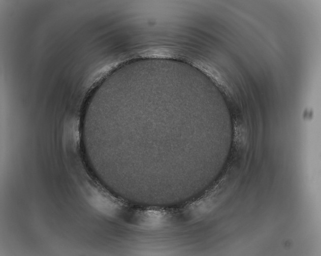 X0000097490302200802221421