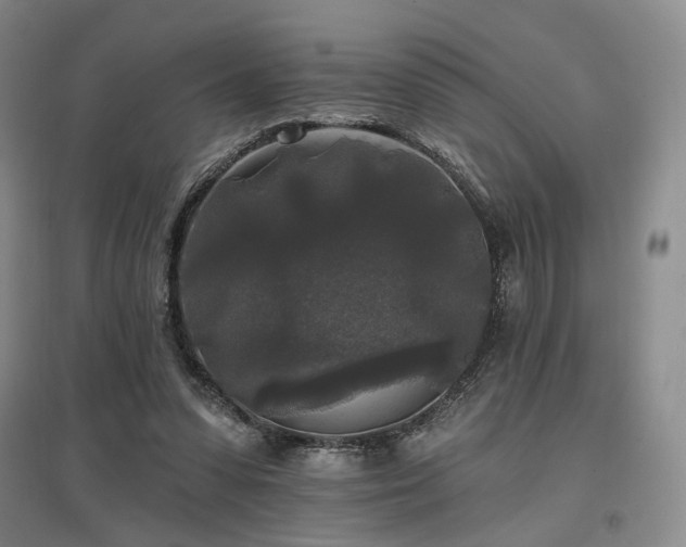 X0000097490303200802221421