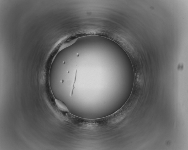 X0000097490304200802221421