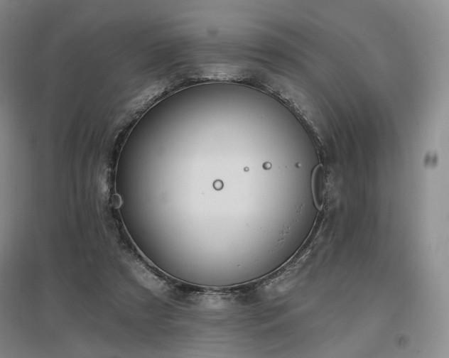 X0000097490305200802221421