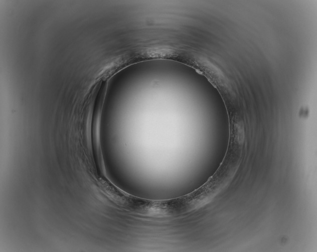 X0000097490308200802221421