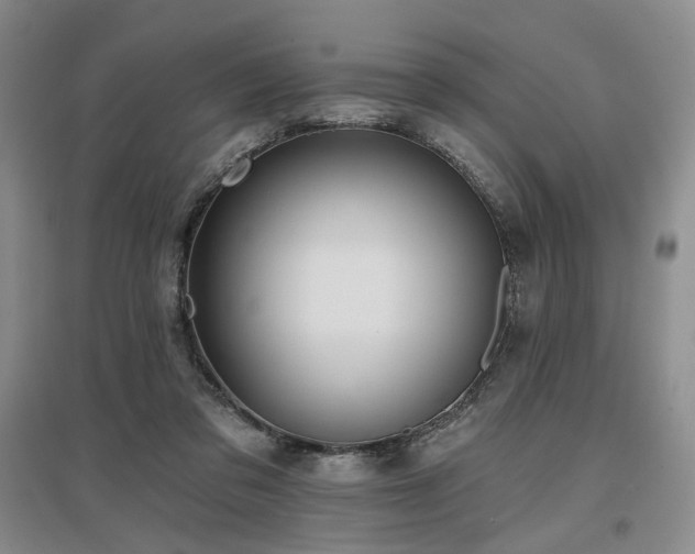 X0000097490309200802221421