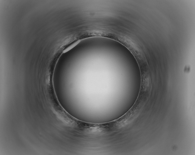 X0000097490310200802221421