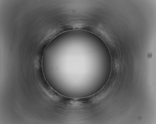 X0000097490311200802221421