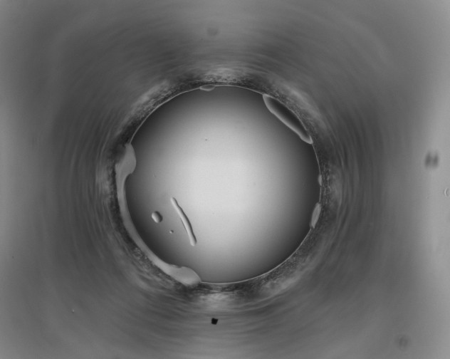 X0000097490312200802221421