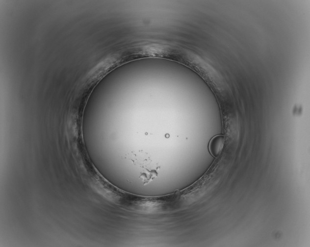 X0000097490313200802221421