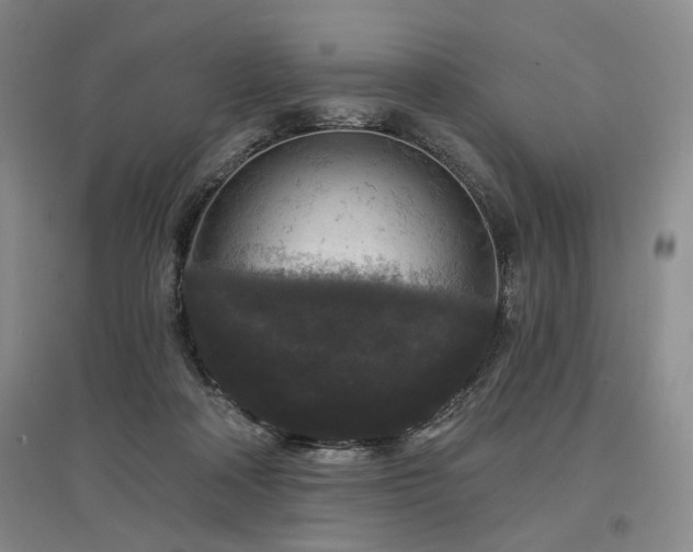 X0000097490314200802221421