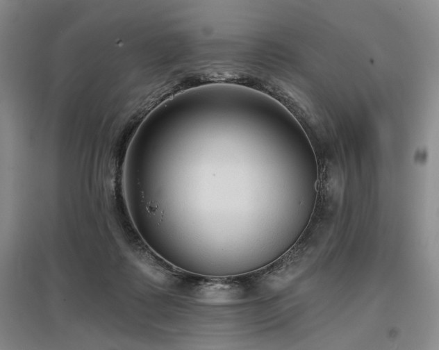 X0000097490315200802221421