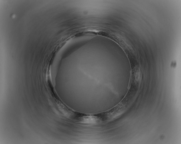 X0000097490316200802221421