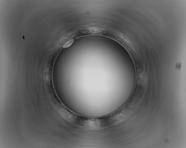 X0000097490317200802221421