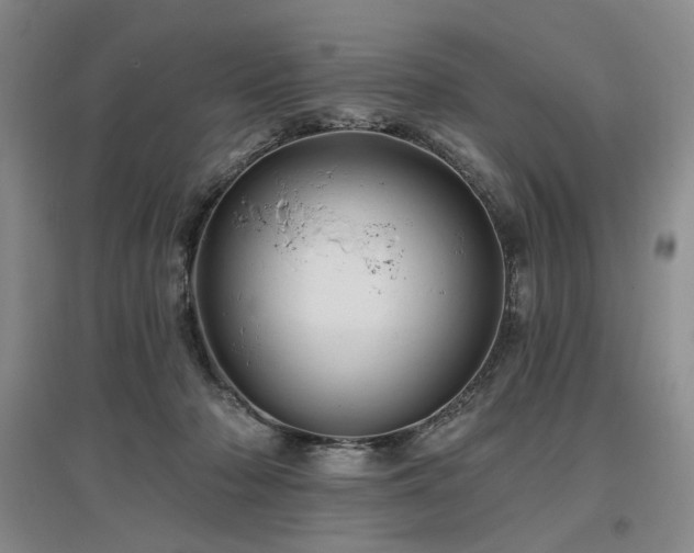 X0000097490318200802221421