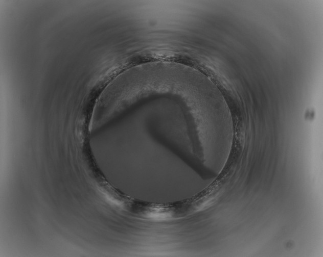 X0000097490319200802221421