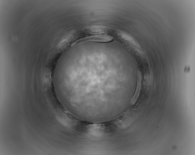 X0000097490320200802221421