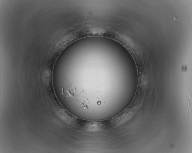 X0000097490321200802221421