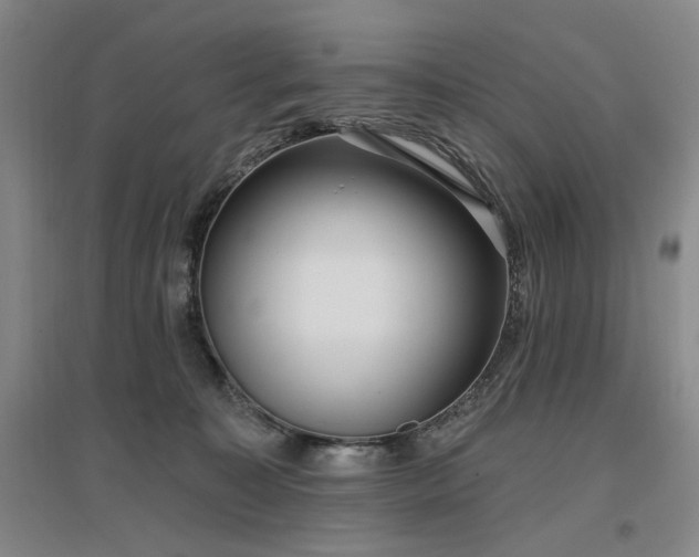 X0000097490323200802221421