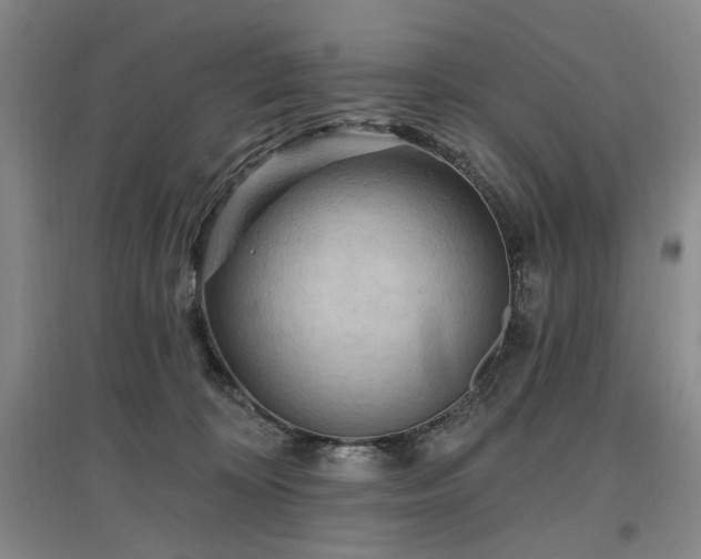 X0000097490324200802221421