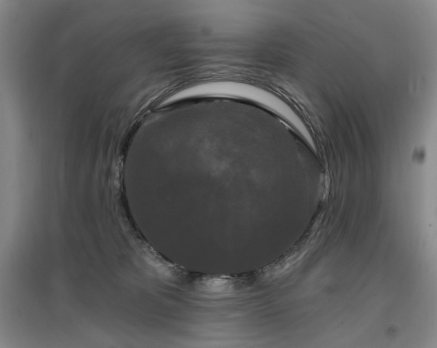 X0000097490325200802221421