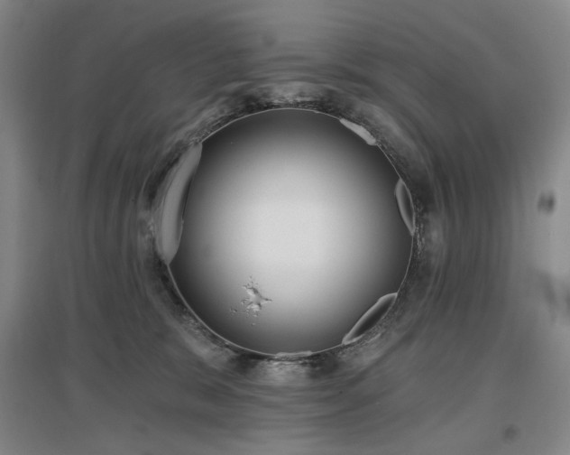 X0000097490327200802221421