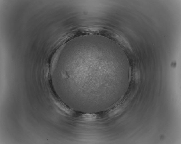 X0000097490328200802221421