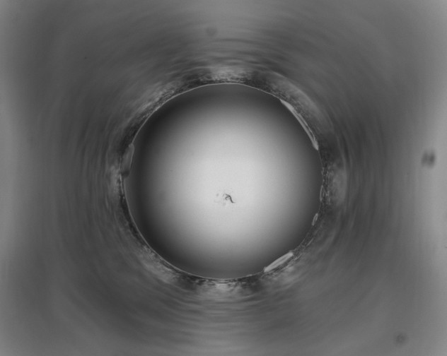 X0000097490329200802221421