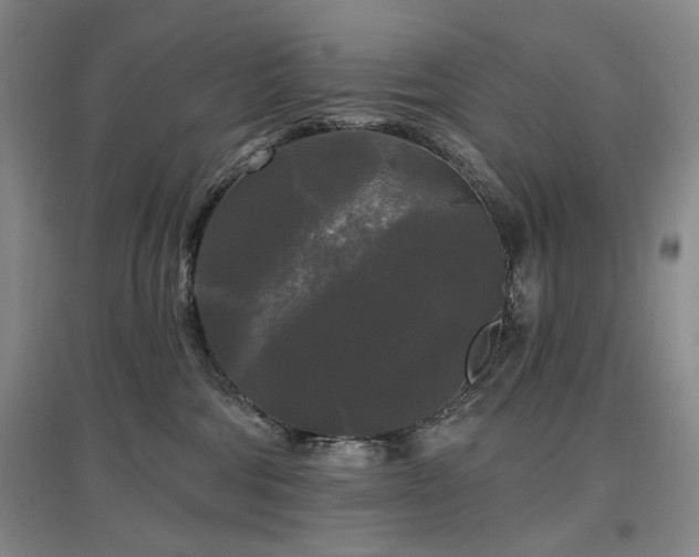 X0000097490330200802221421