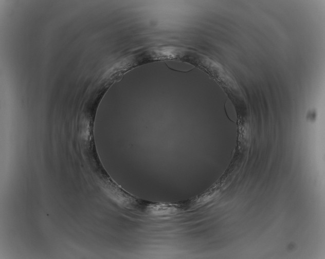 X0000097490331200802221421