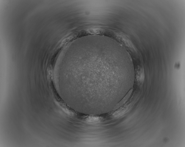 X0000097490332200802221421