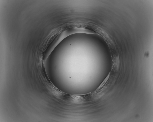 X0000097490333200802221421