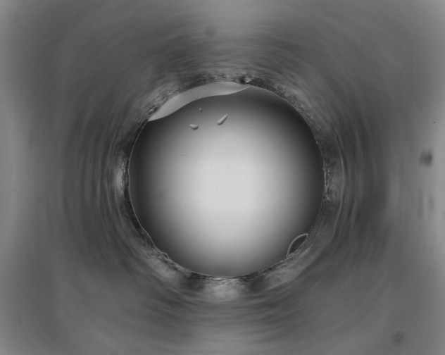 X0000097490334200802221421