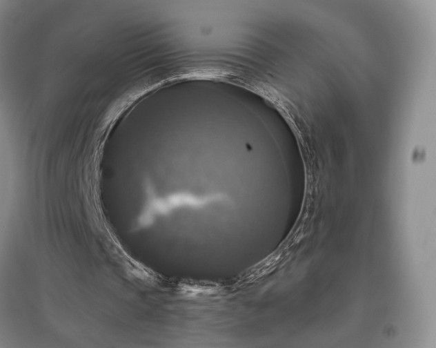 X0000097490337200802221420