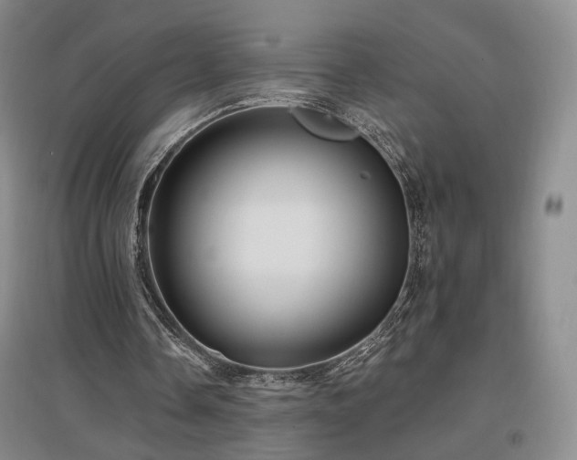 X0000097490338200802221420